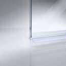 Schleiflippendichtung mit wechselbarer Duschlippe | 6 mm Glasstärke | 100 cm Länge